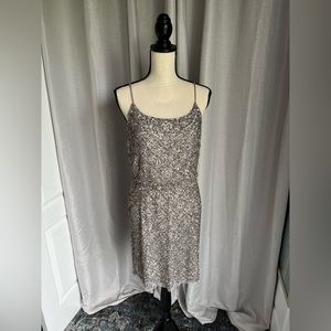 Sequined Party Dress (Walter Baker)
